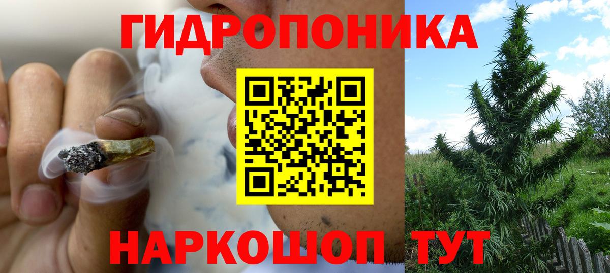 Шишки марихуана конопля Волгоград